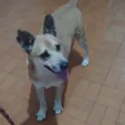 Léo