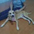 Léo