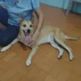 Léo