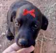 Julieta 