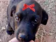 Julieta 