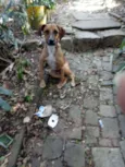 Bruno e Princesa