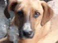 Bruno e Princesa