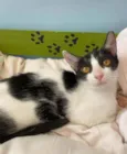 Tecca
