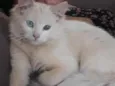 Mia