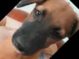 Vintecinco