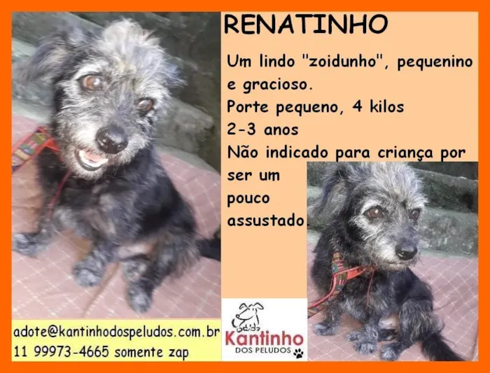 Renatinho Pequenino