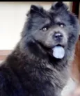 Kira