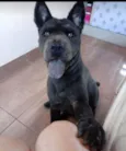 Kira