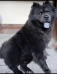 Kira