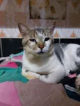 Leon