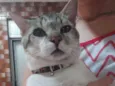 Leon