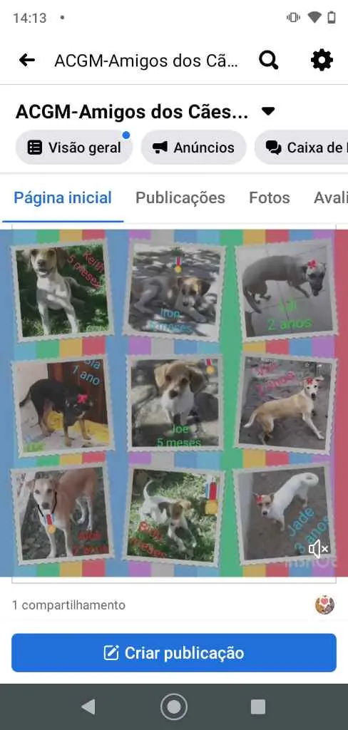 Cachorro ra a Srd idade 1 ano nome Animais castrados 