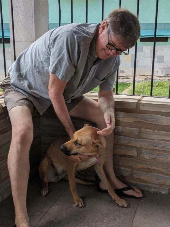 Cachorro raça Não sei idade 7 a 11 meses nome Ruby