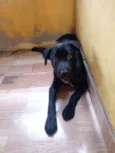 Yuki
