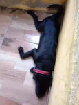 Yuki