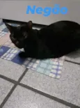 Zara /Princesa/Negão