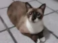 Zara /Princesa/Negão