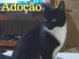 Sem Nome