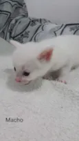 Zyon