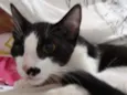 Félix
