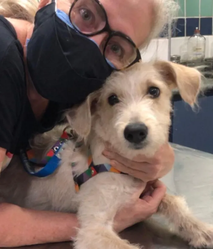 Cachorro ra a SRF Estopinha idade 7 a 11 meses nome Denis