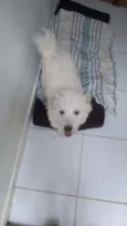 Billy