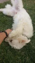 Billy