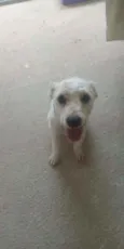 Billy