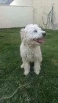 Billy