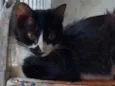 Pablo