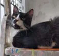 Pablo