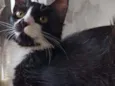 Pablo