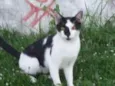 Tom