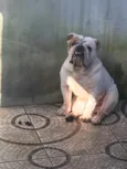Frederico 