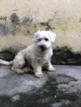 Murdock