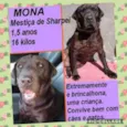 MONA