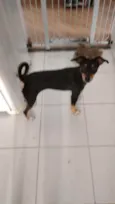 Lili
