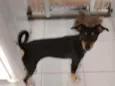 Lili