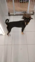 Lili