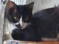 Pablo