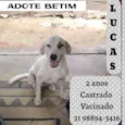 LUCAS