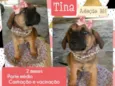 Tina