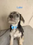Luke