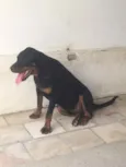 Butch