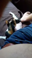 Nina