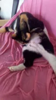 Nina