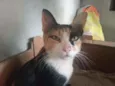 Nina