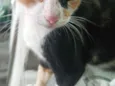 Nina