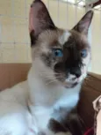Esmeralda